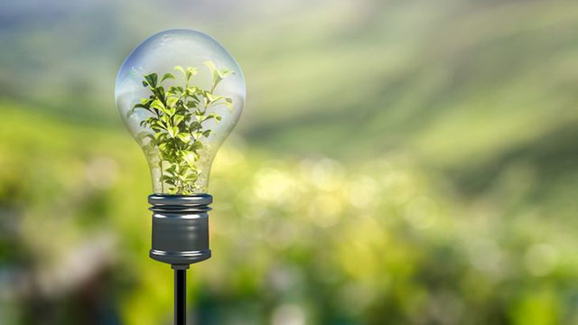 ICEX, el nuevo miembro de la ONU, convoca becas de internacionalización